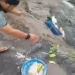 Pria di Lokasi Erupsi Semeru Tendang dan Buang Sesajen Warga Setempat
