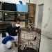 murai - Budi Daya Murai Batu, Pelajar SMP di Kota Batu Raup Puluhan Juta Rupiah