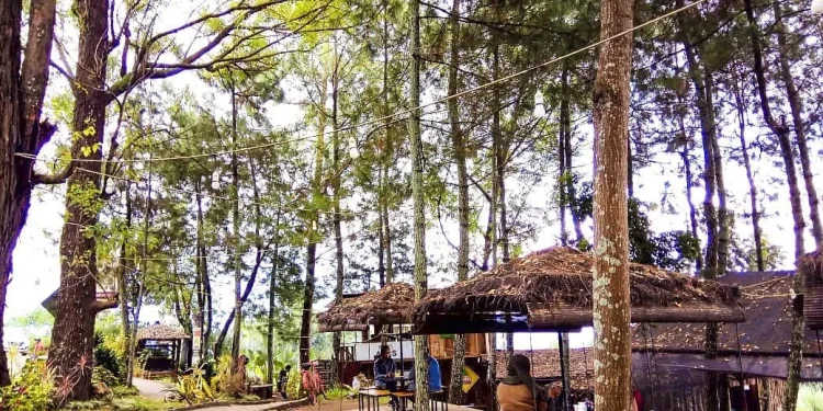 Cafe Taman Pinus di Kota Batu. Foto: dok