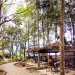 Cafe Taman Pinus Tak Punya IMB, Perhutani: Pahami Dulu Aturan Perijinan di Kawasan Hutan