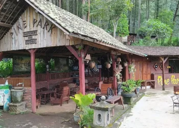 park - Mengintip Geliat Pine Park Cafe, Destinasi Wisata Buatan Warga Songgoriti