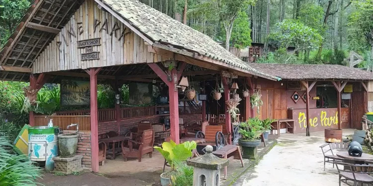 park - Mengintip Geliat Pine Park Cafe, Destinasi Wisata Buatan Warga Songgoriti