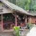 park - Mengintip Geliat Pine Park Cafe, Destinasi Wisata Buatan Warga Songgoriti