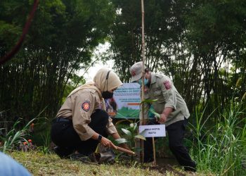 Wali Kota Batu, Dewanti Rumpoko bersama Dinas Sosial Provinsi Jatim kembali menanam pohon sebagai upaya restorasi hutan pasca bencana, pada Minggu (16/1/2022). Foto: Diskominfo Kota Batu