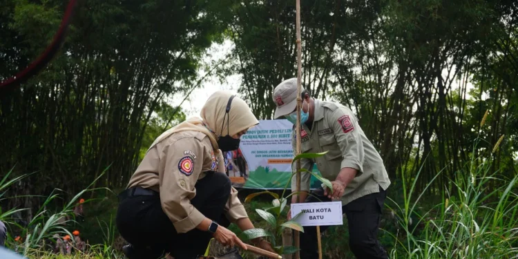 pohon - 8.500 Bibit Pohon Kembali Ditanam di Malang Raya
