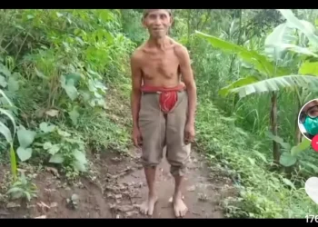 saiman - Saiman, Pria Lansia yang Hidup Sebatang Kara di Tengah Hutan