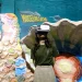 museum - Menjelajah Sudut Museum Satwa Jatim Park 2 Secara Virtual