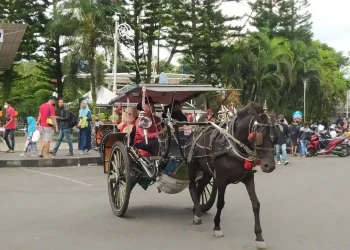 Delman gratis keliling alun-alun Kota Batu