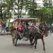 Delman gratis keliling alun-alun Kota Batu