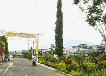 Desa Sidomulyo Kota Batu