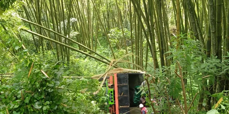 fuso terjun bebas di jurang di Batu
