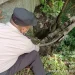 pencurian kabel telkom