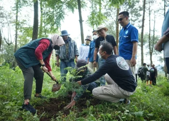 Wali kota Batu, Rabuisasi