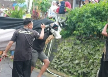 kesenian Kota Batu