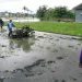 lahan sawah