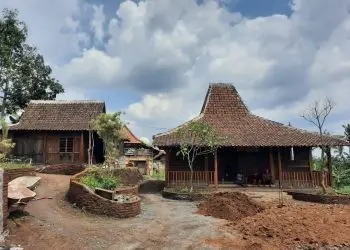 desa wisata