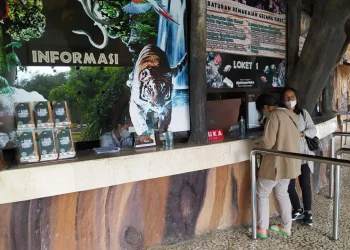 covid-19 - Peningkatan Kasus COVID-19 Membuat Pelaku Wisata Ketar-ketir