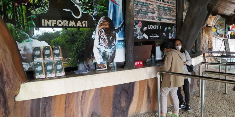 Pengunjung saat membeli tiket di wahana Museum Satwa Jatim Park 2. Foto: Ulul Azmy