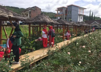 Menilik Rose Asterina, Wisata Baru di Kota Batu