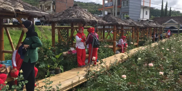 Desa Gunungsari Kota Batu punya destinasi wisata petik mawar bernama Rose Asterina. Destinasi ini akan dibuka dalam waktu dekat. Foto: Ulul Azmy