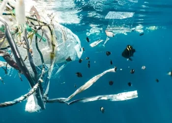 4 Cara Mudah Kurangi Sampah Plastik untuk Lingkungan yang Lebih Bersih
