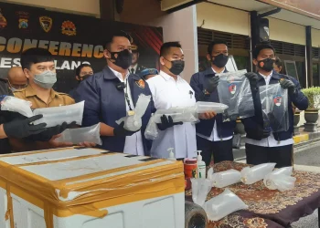 Tak Kapok, Nelayan di Bantur Kembali Ditangkap Polisi karena Jual Benih Lobster Ilegal