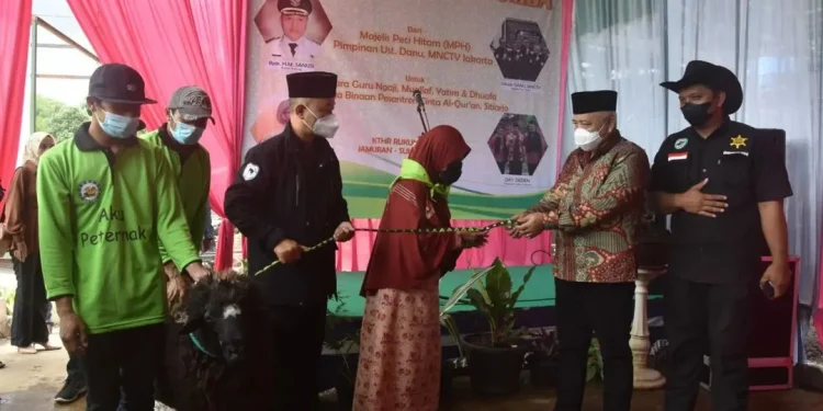 Hibah domba