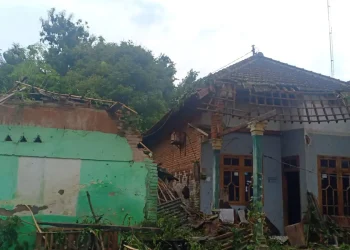 pohon tumbang dan rumah rusak di Malang