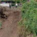 Plengsengan sungai longsor di Kota Batu