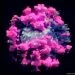 virus covid-19