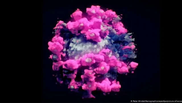 virus covid-19