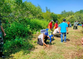 Kodim Malang-Batu Tanam 250 Mangrove di Pantai Tamban