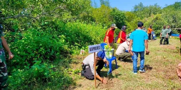 Kegiatan penanaman pohon mangrove di Pantai Tamban. Foto: dok