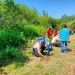 Kodim Malang-Batu Tanam 250 Mangrove di Pantai Tamban