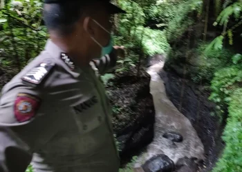 Petani di Ampelgading Tewas Terjatuh ke Jurang Sedalam 50 Meter