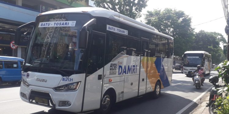 Bus Damri tujuan Tosari, Bromo. Foto: M Sholeh