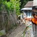 Seorang warga menunjukkan lokasi tebing yang longsor di belakang rumah warga, di Jalan Pattimura Gang V RT 5 RW 6, Kelurahan Temas, Kota Batu. 4 rumah warga berada di ambang bahaya. Foto: Ulul Azmy