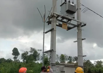 kabel - Kabel Tower PLN Dicuri, Listrik Desa Poncokusumo Padam