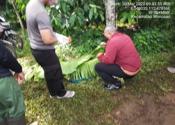 Petani di Wonosari Ditemukan Meninggal di Kebun Kopi