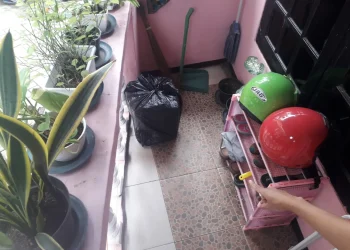 Temuan Bayi