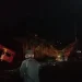 Pohon beringin tumbang di Kota Malang