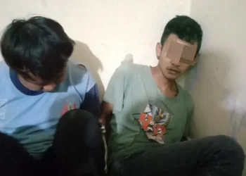 Pencurian Cabe di Kota Batu
