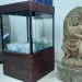 Museum Singhasari