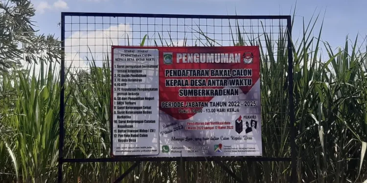 Pilkades di Kabupaten Malang