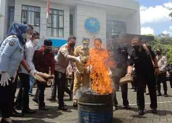 bnn bakar narkoba