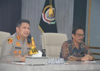 sinergi
