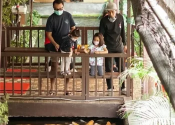 rekomendasi