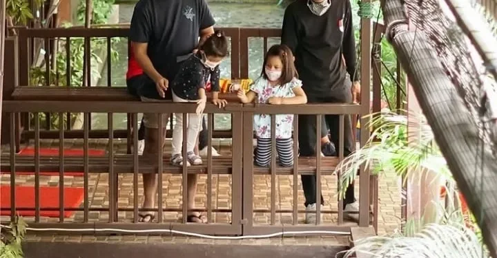 rekomendasi