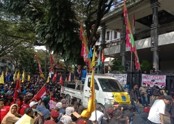 mahasiswa