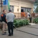 palu